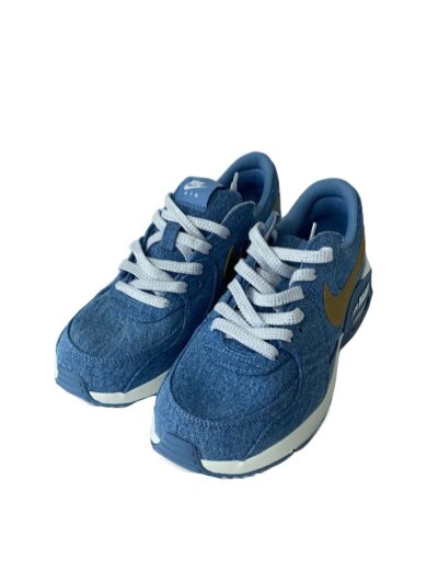 商品画像：AIR MAX EXCEE_エア マックス エクシー/27cm/IDG 2