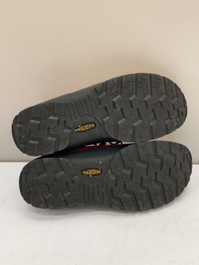 商品画像：JASPER/24cm/BRD/スウェード/1030729 4