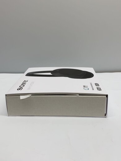商品画像：イヤホン INZONE Buds WF-G700N 3