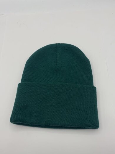 商品画像：ニットキャップ/--/アクリル/GRN/無地/メンズ 2