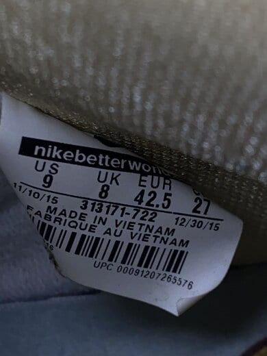 商品画像：DUNK HIGH PREMIUM SB/ダンクハイプレミアム/ベージュ/313171-722/27cm/BEG// 5