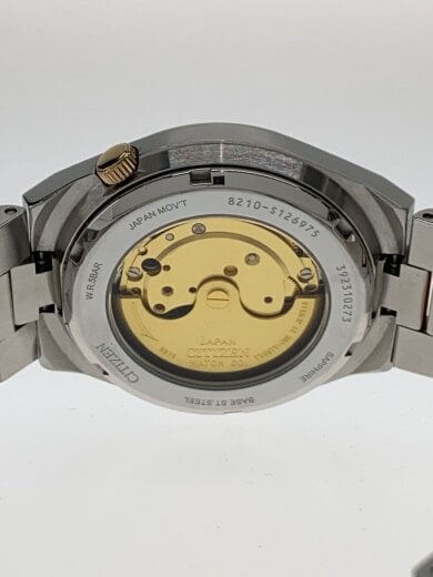 商品画像：自動巻腕時計/アナログ/ステンレス/BLK/SLV/8210-S126975 3