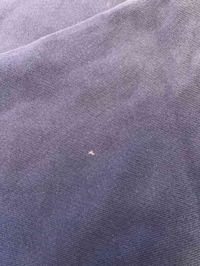 商品画像：スウェット/L/コットン/PUP// 8