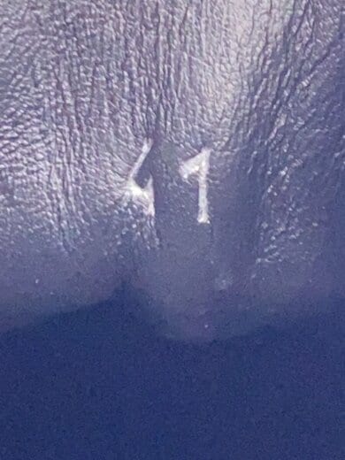 商品画像：ローカットスニーカー/41/BLK 5