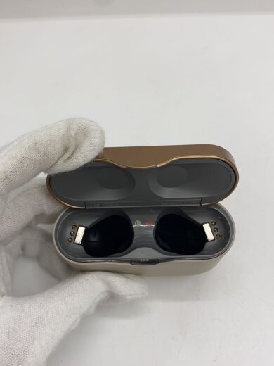 商品画像：イヤホン・ヘッドホン WF-1000XM3 (S) [プラチナシルバー] 7