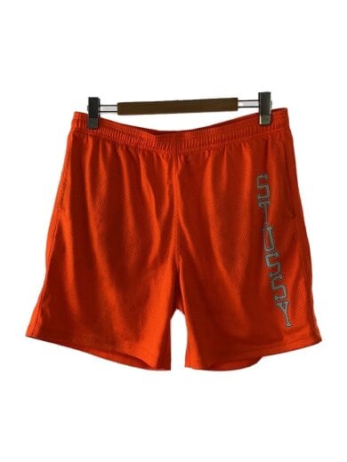 商品画像：カレッジメッシュショートパンツ/L/ORN// 1