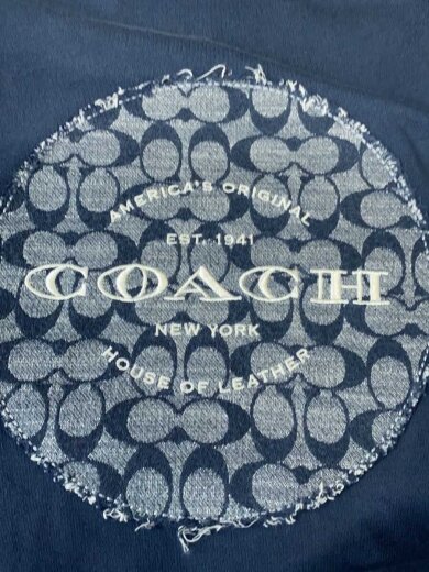 商品画像：Tシャツ/M/コットン/NVY/C3806// 6