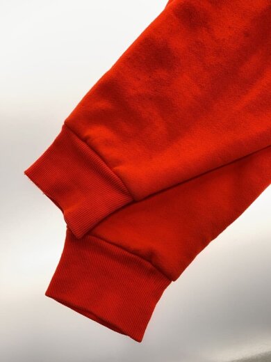 商品画像：ジップパーカー/2L/コットン/ORN 6