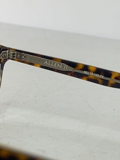 商品画像：ALLEN II/サングラス/ベッコウ柄/BRW/メンズ 6