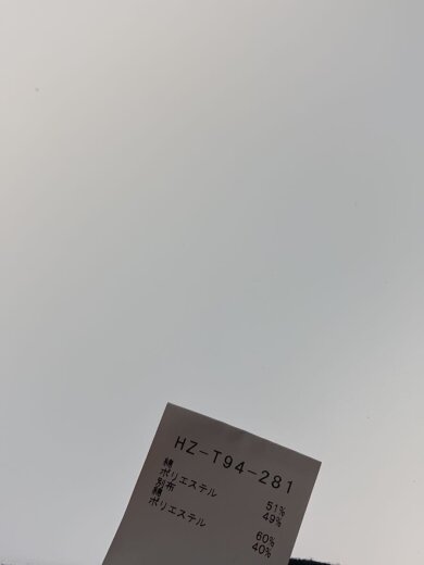 商品画像：Tシャツ/L/コットン/BLK/HZ-T94-281 4