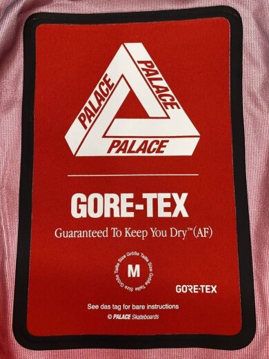 商品画像：GORE-TEX 3L Palex Jacket/M/ゴアテックス/RED// 3