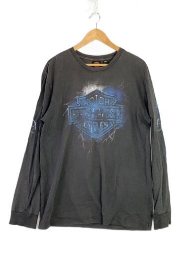 商品画像：サンダー/長袖Tシャツ/M/コットン/BLK// 1