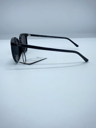 商品画像：サングラス/BLK/BLK/メンズ/RB2197F 3