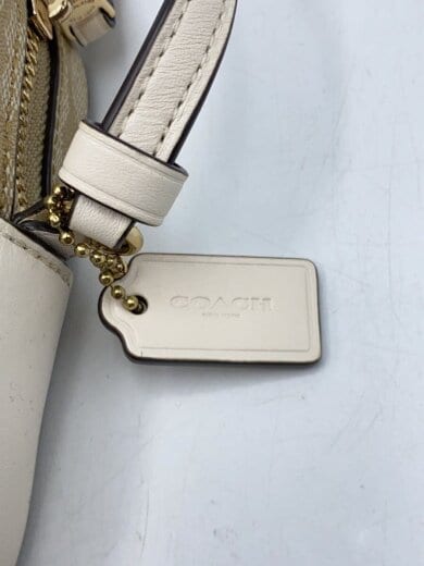 商品画像：ミニ・カメラバッグ_シグネチャー_ブラウンレザー/--/BEG/総柄 5