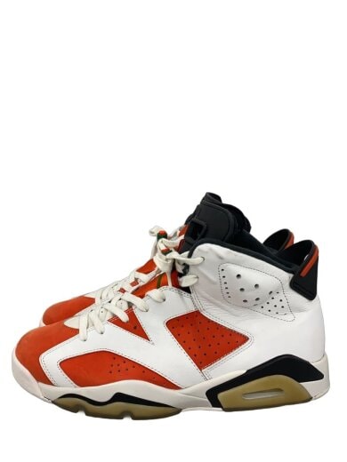 商品画像：AIR JORDAN 6 RETRO/エアジョーダンレトロ/ホワイト/384664-145/28.5cm/WHT 1