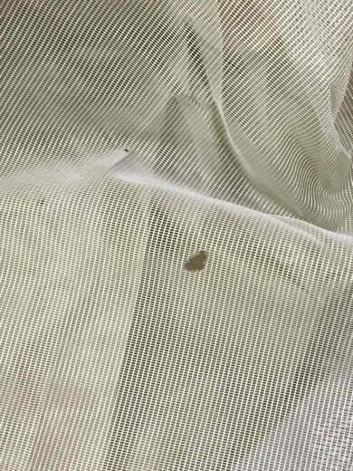 画像：DODT5-689-TN テント/ツールーム/8人以上/BEG/カマボコテント3M7