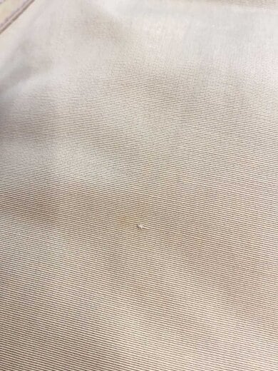 商品画像：ダウンジャケット/S/コットン/BEG 9