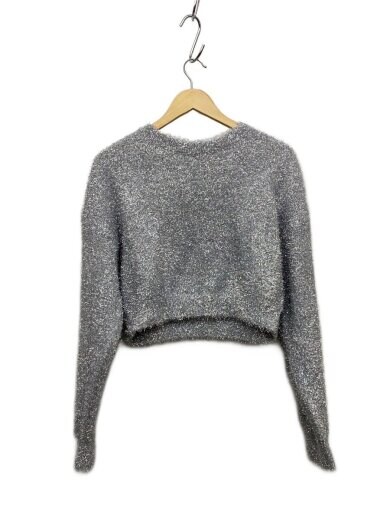 商品画像：ニット・セーター(厚手)/1/ナイロン/SLV 1