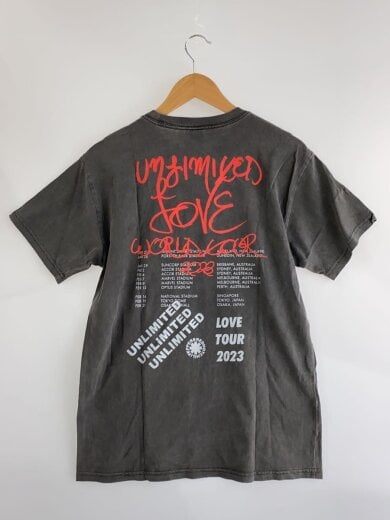 商品画像：RED HOT CHILI PEPPERS/Tシャツ/M/コットン/GRY// 2