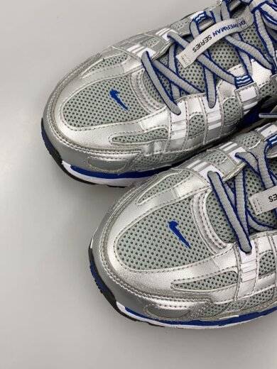 商品画像：P-6000/28cm/SLV 6