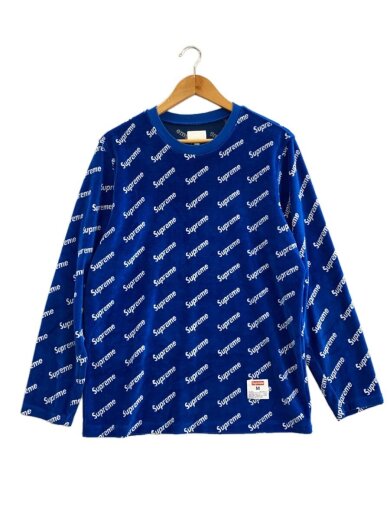 商品画像：長袖Tシャツ/M/コットン/BLU// 1