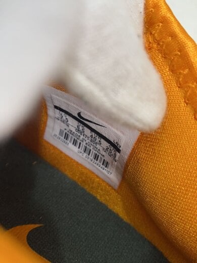 商品画像：LEBRON XVI LOW AC/レブロンロー/オレンジ/CD9471-800/25.5cm/ORN// 5