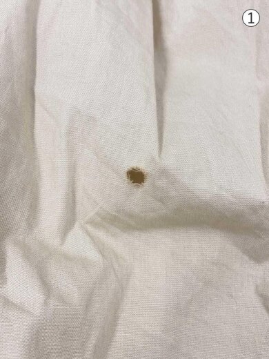 商品画像：22AW/Ascot Collar EDW Shirt/M/コットン/ベージュ/無地/LQ207/ニードルズ 6