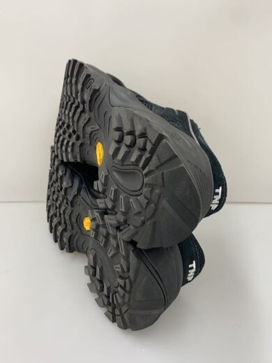商品画像：TNF/FLIGHT SERIES/ローカットスニーカー/26cm/ブラック/NF0A8AE2// 4