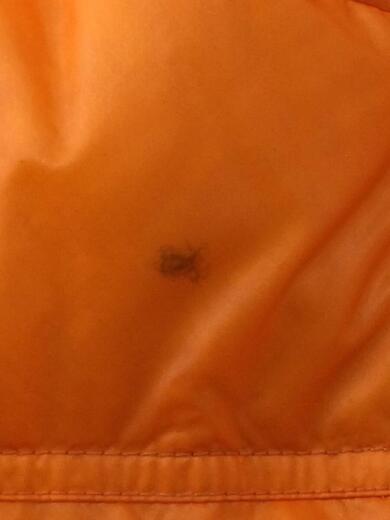 画像：HELLY HANSENカラショークダウンジャケット/M/ナイロン/ORN/HH176075