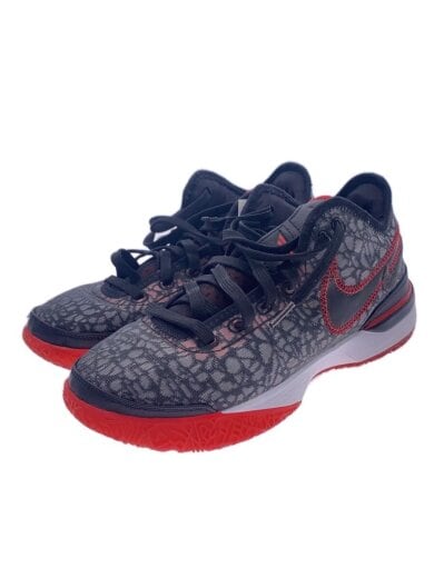 商品画像：ZOOM LEBRON NXXT GEN EP_ズームレブロン ネクストジェン EP/26.5cm/BLK// 1