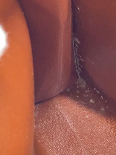 画像：LOUIS VUITTONポッシュ・トワレット19_モノグラム・キャンバス_BRW/PVC/BRW8