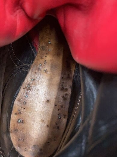 商品画像：ブーツ/UK9.5/RED/スウェード 5