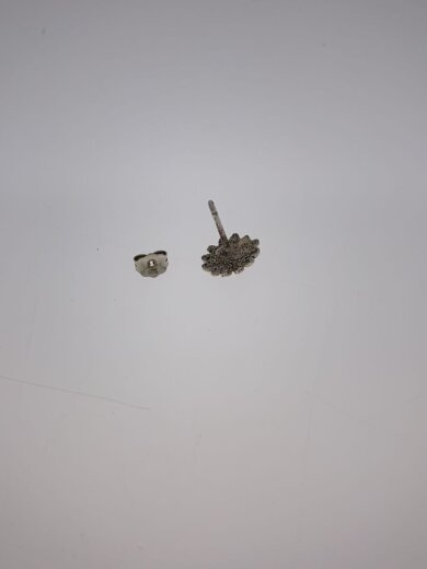 商品画像：ピアス/SV925/SLV/レディース 4