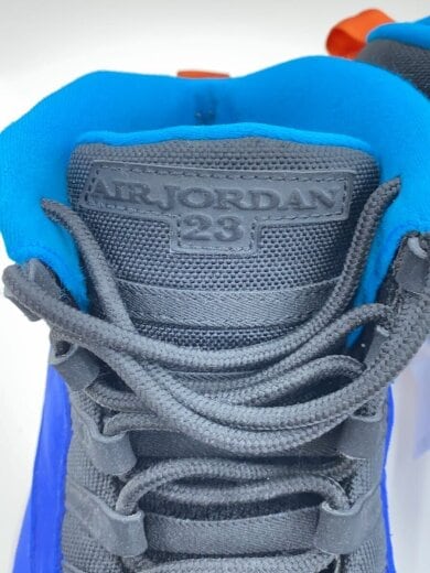 商品画像：AIR JORDAN 10 RETRO/エアジョーダンレトロ/ブルー/310805-408/29cm/BLU 6