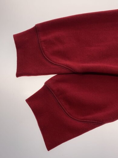 商品画像：PREMIUM CORE HOODED ZIP SWEATER/XL/RED/D16122-C235-1330// 5