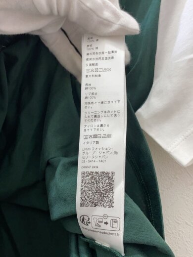 商品画像：BLASON/Tシャツ/L/コットン/GRN/RX04B671Q 5