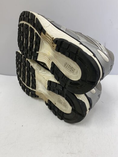 商品画像：P-6000/29cm/SLV 4