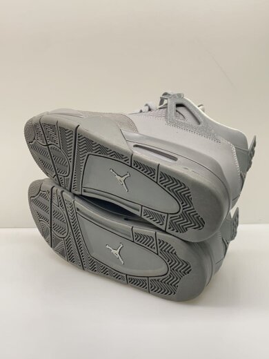 商品画像：AIR JORDAN 4 SE_エア ジョーダン 4 SE/28cm/GRY 4