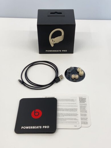 商品画像：イヤホン Powerbeats Pro MV722PA/A [アイボリー] A2078 6