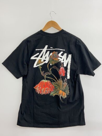 商品画像：Tシャツ/M/コットン/BLK/無地 2