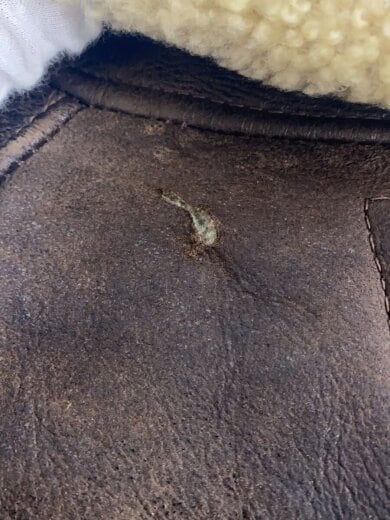 商品画像：フライトジャケット/38/レザー/BRW/無地/B-6 8