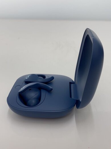 商品画像：イヤホン Beats Fit Pro MPLL3PA/A A2578 [タイタンブルー] 3