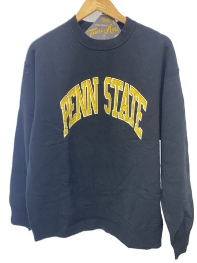 商品画像：吊り編み/PENN STATE/スウェット/L/コットン/BLK/BR-23120 1