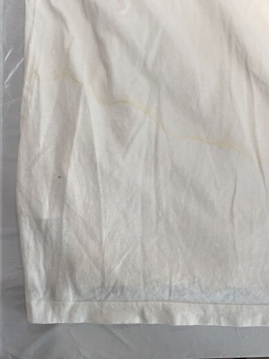 商品画像：Tシャツ/M/コットン/WHT/s50gc645 5