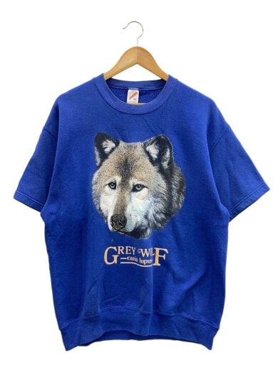 商品画像：Tシャツ/XL/コットン/BLU// 1