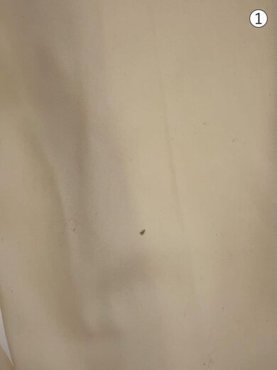 商品画像：ボトム/40/ポリエステル/CRM/23-030-200-8191-4-0// 7