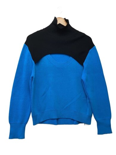 商品画像：ニット・セーター(厚手)/FREE/レーヨン/BLU// 1