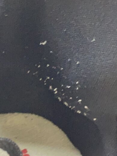 商品画像：AIR JORDAN 1 RETRO HIGH OG_エアジョーダン 1 レトロ ハイ OG/27.5cm/RED// 6