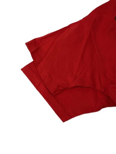 商品画像：Tシャツ/L/コットン/RED/WDS-O-SIGT-25-04-CS-01 6