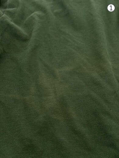 商品画像：ポロシャツ/L/コットン/GRN/NT3019N// 6